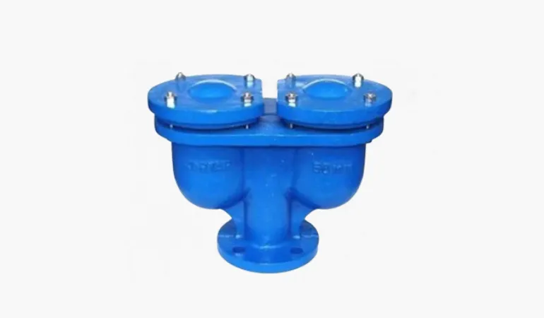 Double Acting Air Valve