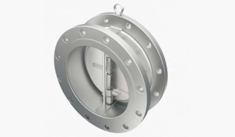 Dual Plate Check Valve
