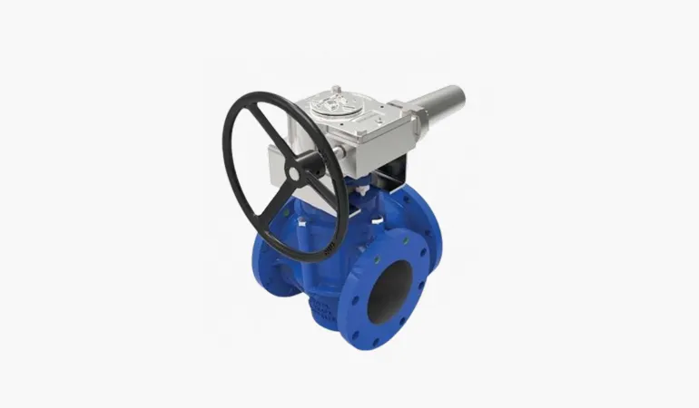 Plug Valve